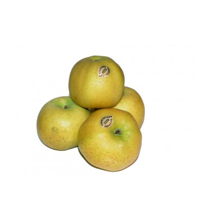 MANZANA CHANTECLER