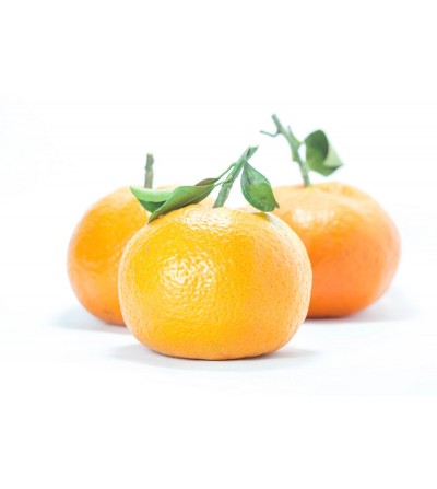 MANDARINA SATSUMA