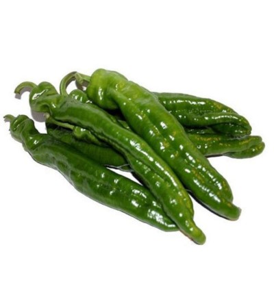 PIMIENTO VERDE ITALIANO