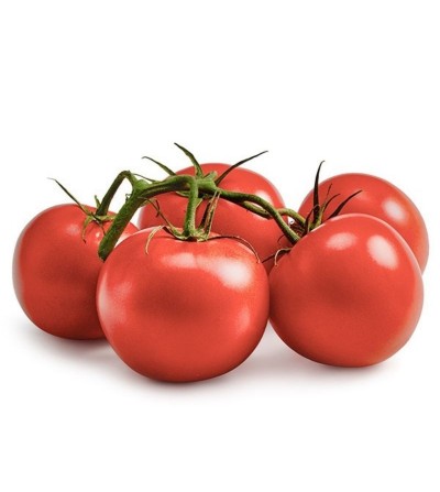 TOMATE RAMA