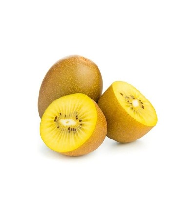 KIWI GOLD