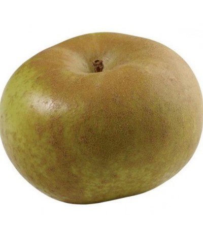 MANZANA REINETA VERDE